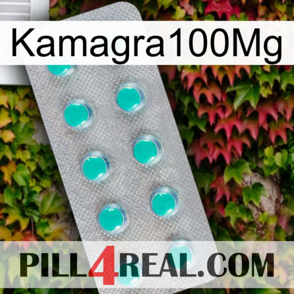 Kamagra100Mg 28.jpg